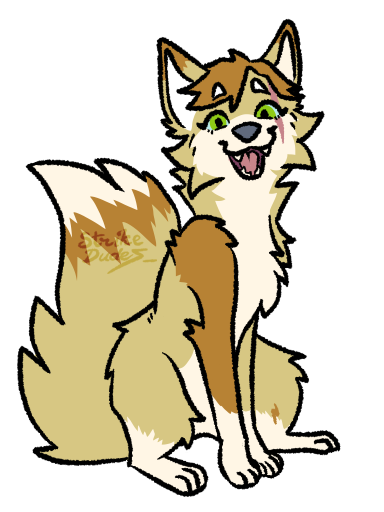 A yellow fox named Strike
